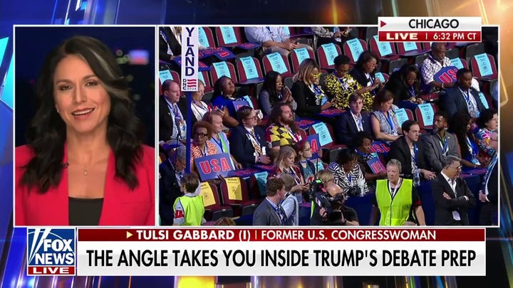 Kamala Harris has to run on an ‘incredibly vulnerable record’: Tulsi Gabbard